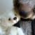 Bear Garden