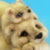 Bear Garden