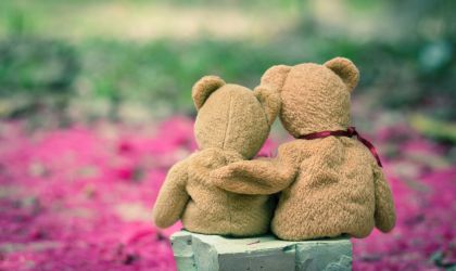Taiwan Teddy Bear Association