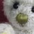 Bear Garden