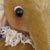 Bear Garden