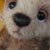 Bear Garden