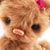 Bear Garden