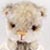 Bear Garden