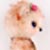 Bear Garden