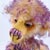Bear Garden