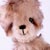 Bear Garden