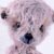 Bear Garden