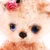 Bear Garden