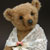 Bear Garden