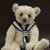 Bear Garden