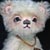Bear Garden